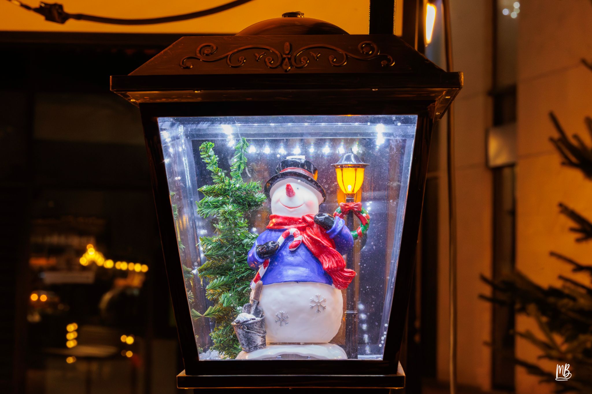 20241129 Noël à Haguenau MB (108 sur 114)